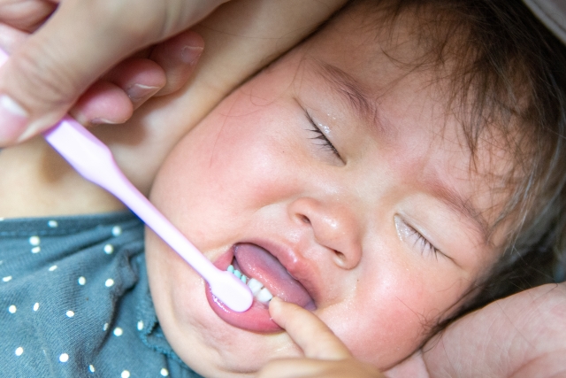 小児　歯磨き嫌がる