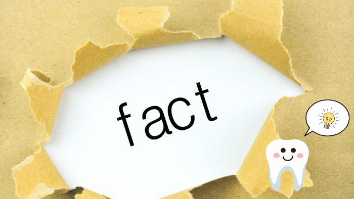 歯がボロボロすぎて歯医者に行けない方が知りたい事実6選