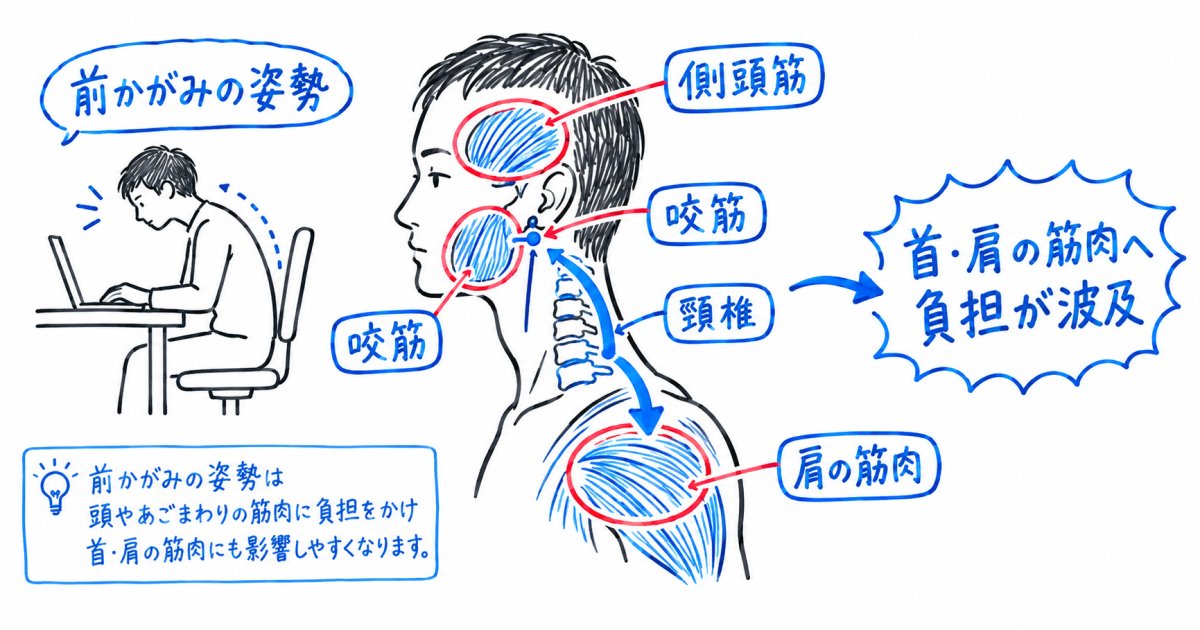 噛み合わせのズレが肩こり・頭痛につながる仕組み